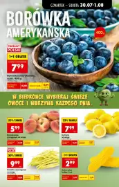 Biedronka gazetka tydzień 31 Strona 23