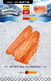 Biedronka gazetka tydzień 31 Strona 42