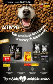 Biedronka gazetka tydzień 31 Strona 80