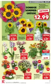 Kaufland Prospekt woche 31 Seite 5