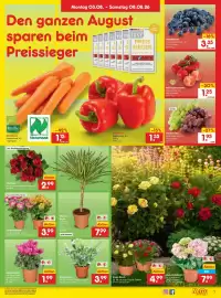 Netto Marken-Discount Prospekt Seite 11