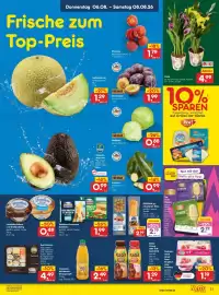 Netto Marken-Discount Prospekt Seite 39