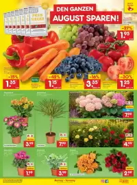 Netto Marken-Discount Prospekt Seite 11