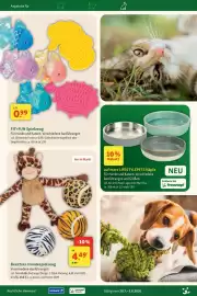 Fressnapf Prospekt woche 31 Seite 20