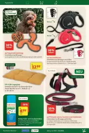 Fressnapf Prospekt woche 31 Seite 21