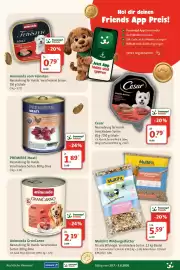 Fressnapf Prospekt woche 31 Seite 6