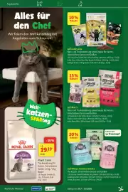 Fressnapf Prospekt woche 31 Seite 8