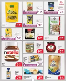 Selgros gazetka Strona 17