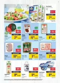 Catalog Mega Image săptămâna 31 Pagină 2