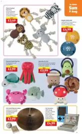 Aldi leaflet | Special Buys Page 13