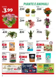 Volantino Bennet Pagina 26: Bocconcini in salsa per gatti adulti Bennet €6,99, HYPOESTES TRIO €3,99