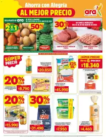 Catálogo Ara semana 31 Página 1