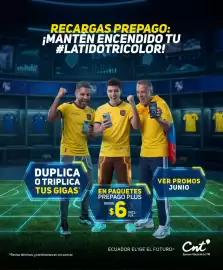 Catálogo CNT Página 11