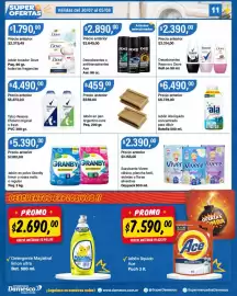 Catálogo Supermercados Damesco semana 31 Página 11