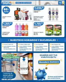 Catálogo Supermercados Damesco semana 31 Página 13