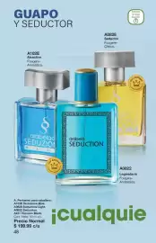 Catálogo Arabela Página 50: Arabela seduction €199,99