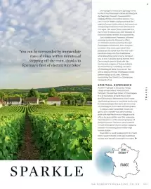 Sainsbury's leaflet Page 101