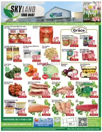 Skyland Foodmart flyer week 31 Page 1