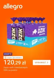 Allegro gazetka tydzień 31 Strona 1
