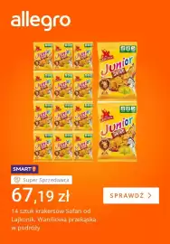 Allegro gazetka tydzień 31 Strona 4