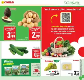 Volantino Conad Pagina 13