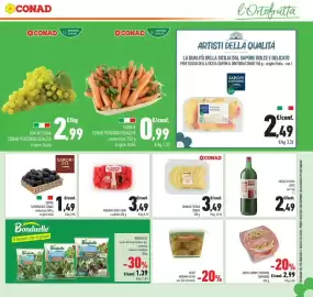 Volantino Conad Pagina 13