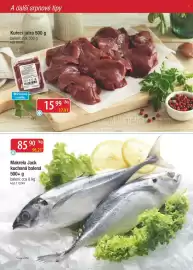 Qanto leták Strana 32