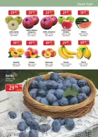 Qanto leták Strana 39