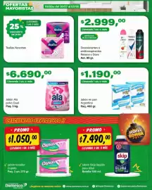 Catálogo Supermercados Damesco semana 31 Página 10