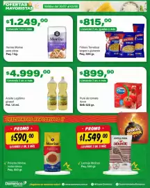 Catálogo Supermercados Damesco semana 31 Página 4