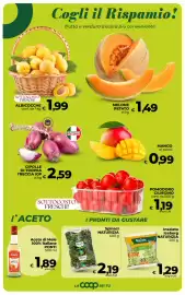 Volantino Ipercoop Radenza Pagina 21: Insalata Iceberg NATURIZIA €1,29, Melone retato €1,49