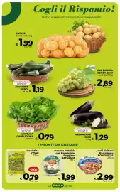 Volantino Ipercoop Radenza Pagina 22: Insalata Petalizia con Parmigiano Reggiano NATURIZIA €1,99