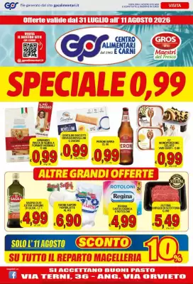 Volantino Iper Triscount (valido fino al 11-08)