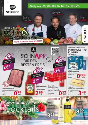 Selgros (gültig bis 12-08)