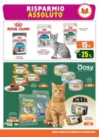 Volantino Elite Pagina 11: Royal Canin Indoor Sterilised, Caprice mousse Easy €0,65