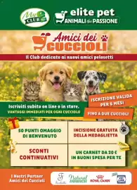 Volantino Elite Pagina 7