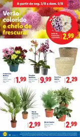 Folheto Lidl semana 32 Página 32