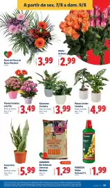 Folheto Lidl semana 32 Página 33