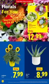 Lidl weekly ad week 32 Page 20