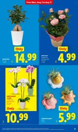 Lidl weekly ad week 32 Page 21