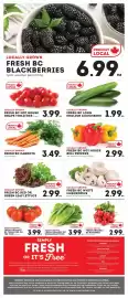 Market Place IGA flyer Page 6