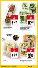 Jumbo folder week 32 Pagina 5