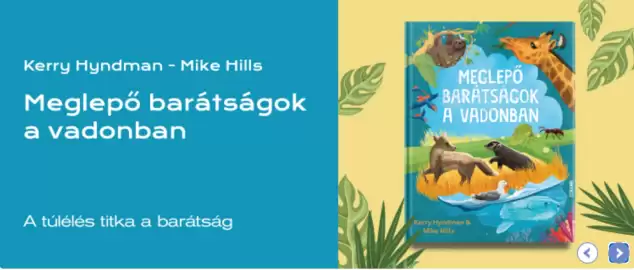 Líra akciós újság Oldal 4
