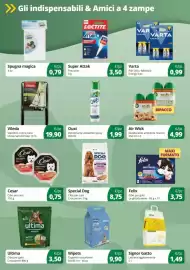 Volantino Prodet Pagina 5: Wipets Tappetini assorbenti €9,90, Spugna magica €0,79
