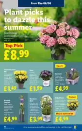 Lidl leaflet week 32 Page 22