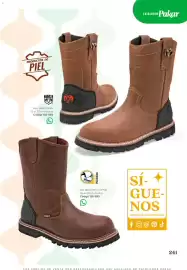 Catálogo SC Pakar Página 241