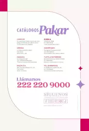 Catálogo SC Pakar Página 307