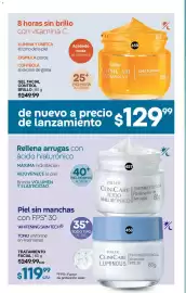 Catálogo Fuller Página 102