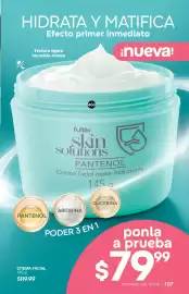 Catálogo Fuller Página 107