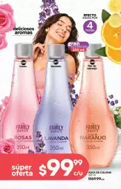 Catálogo Fuller Página 118